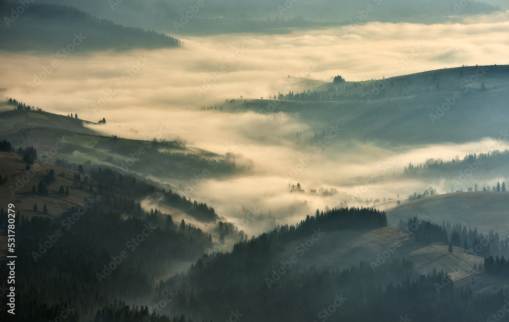 Obraz premium silhouettes of morning mountains. foggy morning in the Carpathians. Mountain landscape