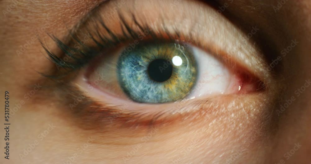 Vision, awareness and blue eye woman for healthcare, optometry or eyesight wellness. Contact lens, macro medical exam or texture closeup for natural beauty and human anatomy, humanity or innovation Vision, awareness and blue eye woman for healthcare, optometry or eyesight wellness. Contact lens, macro medical exam or texture closeup for natural beauty and human anatomy, humanity or innovation