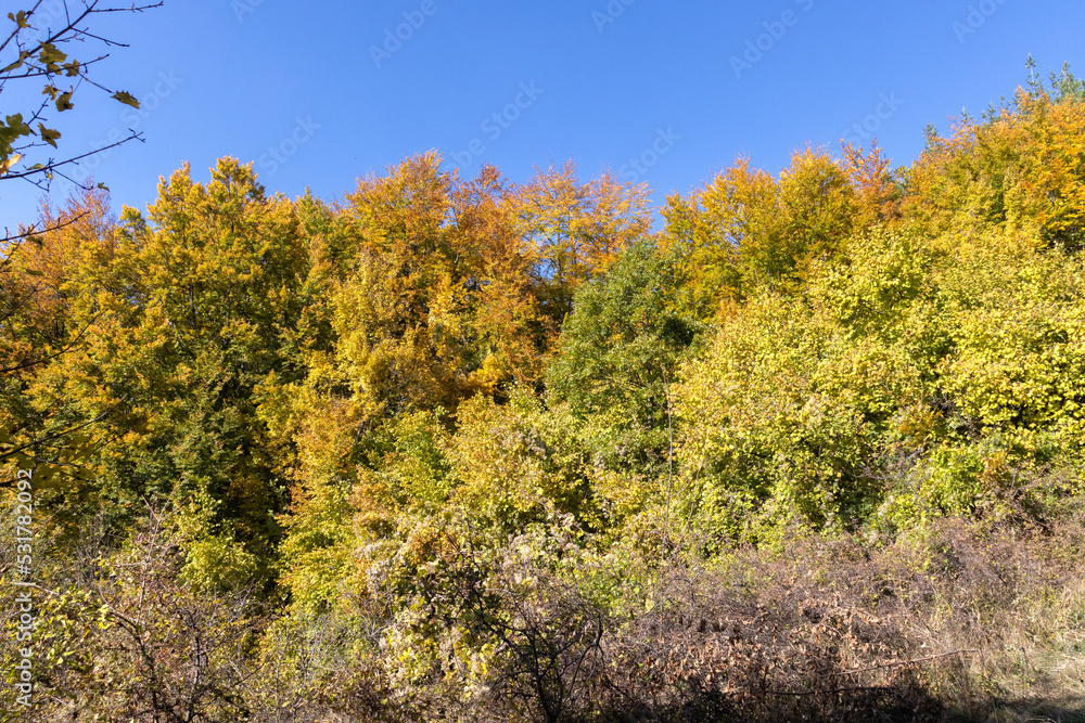 Amazing Autumn Landscape of Erul mountain, Bulgaria Amazing Autumn Landscape of Erul mountain, Bulgaria