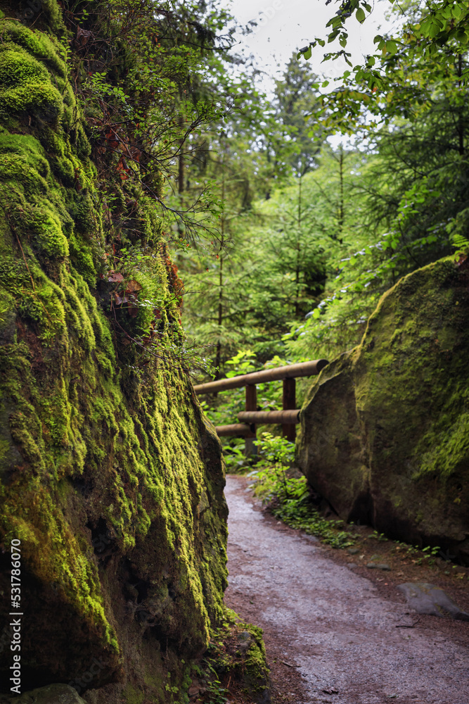 Natural landscape - view of hiking trail in the Elbe Sandstone Mountains, Bohemian Switzerland or Czech Switzerland, the north-western Czech Republic Natural landscape - view of hiking trail in the Elbe Sandstone Mountains, Bohemian Switzerland or Czech Switzerland, the north-western Czech Republic