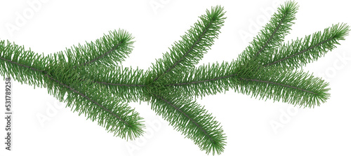 Fir Tree Branch isolated photo