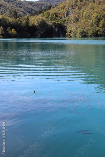 Lacs de Plitvice  Croatie