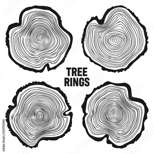 Round tree trunk cuts, sawn pine or oak slices, lumber. Saw cut timber, wood. Wooden texture with tree rings. Hand drawn sketch. Vector illustration