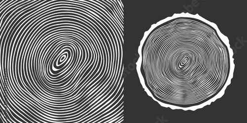 Round tree trunk cut, sawn pine or oak slice. Saw cut timber, wood. White wooden texture with tree rings. Hand drawn sketch. Vector illustration