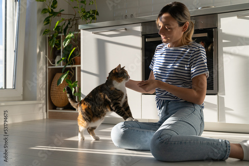 Young polish female owner stroking and training her beloved pet at home. Tricolor cat needs attention and affection. Girl and kitten sitting on floor in cozy room with natural sunny light.