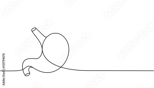 Human stomach one line continuous drawing. Human organ continuous one line illustration. Vector minimalist linear illustration.