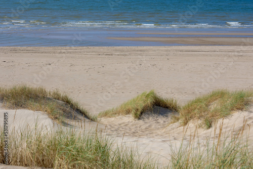 Fototapeta Naklejka Na Ścianę i Meble -  Beach view from the path sand between the dunes at Dutch north sea coastline with european marram grass (beach grass) along the dyke under blue clear sky, Noord Holland, Netherlands.