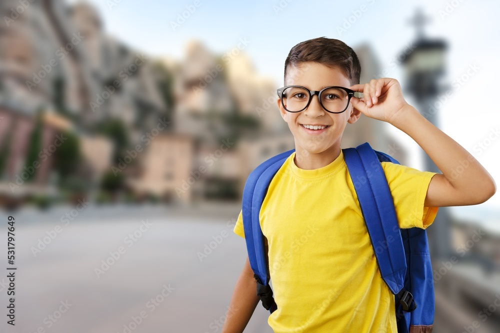 Fototapeta premium Happy schoolboy with backpack on outdoor background.