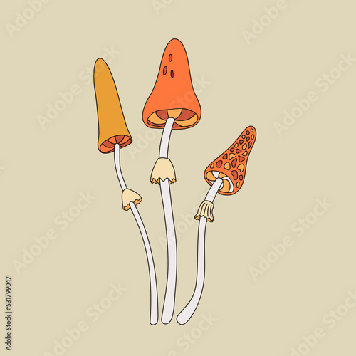 Set of vintage hippie mushrooms flat vector illustration. Retro autumn vibe psychedelic elemenst in 70s and 80s style photo