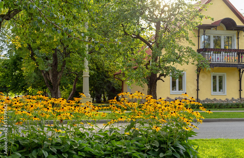 Flower bed with yellow rudbeckia or black-eyed susan against the backdrop of a beautiful country house.