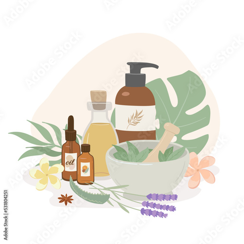 Composition  with essential oil and herbs. Lavender, aloe and aromatic flowers. Spa, aromatherapy accessories, scin care flat vector illustration on white background.