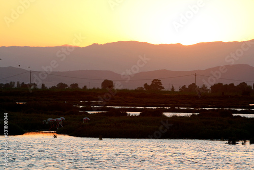 Delta del Ebro en Cataluña, España, beautiful sunset.  photo
