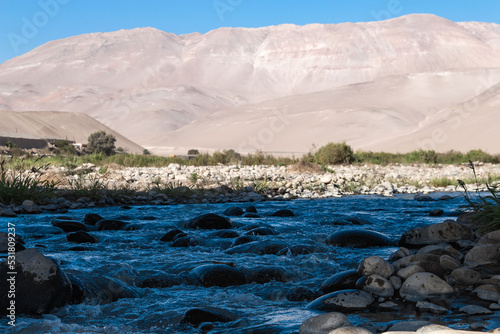 the Lluta river defies the desert