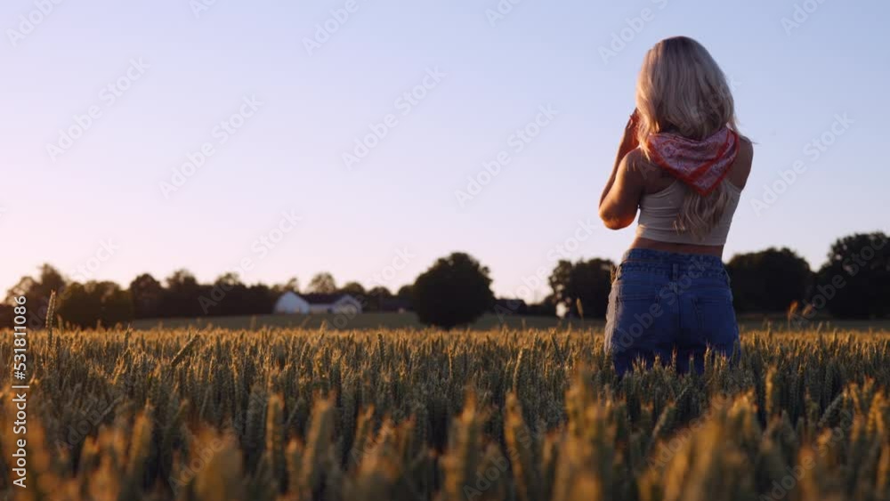 Beautiful Young Woman in the Wheat Field in Soft Lights of Sunset Beautiful Young Woman in the Wheat Field in Soft Lights of Sunset