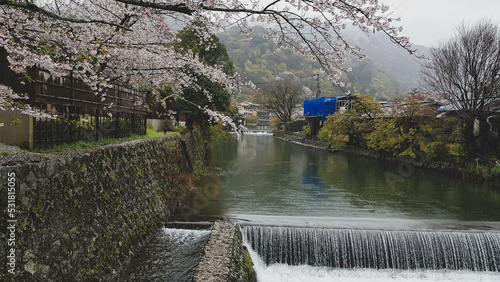 Beautiful cherry blossoms on the edge of Hozu, which is at the foot of the Arashiyama mountains. With a small flowing waterfall.