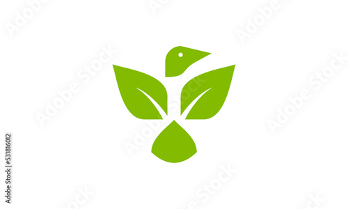 bird and nature logo design. lifestyle simple creative icon vector