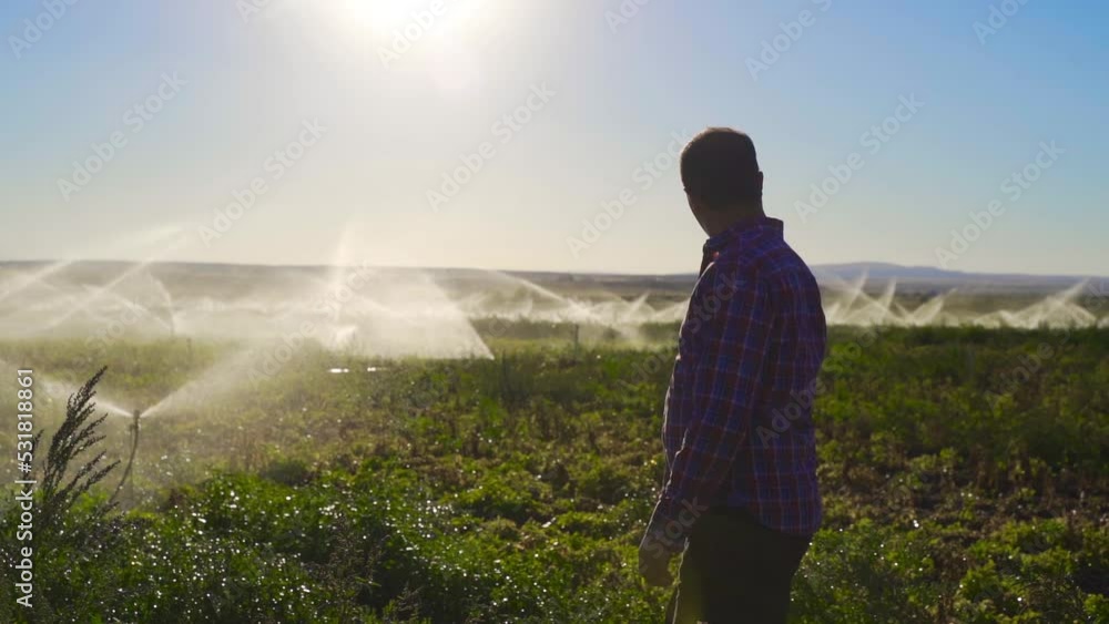 Farmer irrigating the field. Slow Motion.
Farmer looking at his irrigated field.
Farmer irrigating the field. Slow Motion.
Farmer looking at his irrigated field.