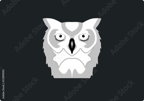 Close-up of the Great Spotted Owl on a black background. Bubo bubo details. Owl on a black background.