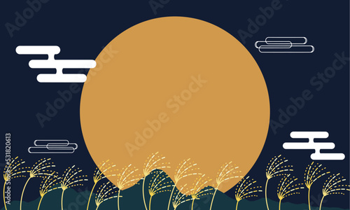夜空に輝く中秋の名月とススキ　Mid-autumn moon shining in the night sky and silver grass