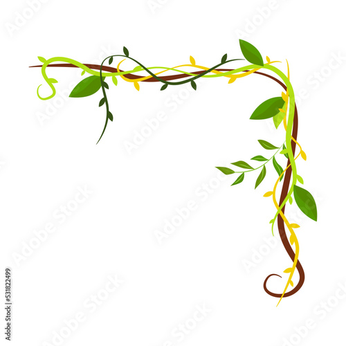 Tropical frame. Cartoon frame shaped lianas, jungle plant branches with leaves, borders with copy space. Isolated vector
