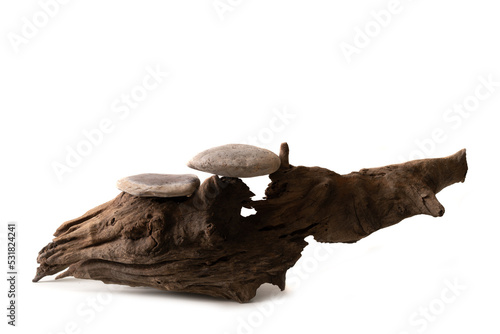 Stone product display podium on old log, Isolated on white background