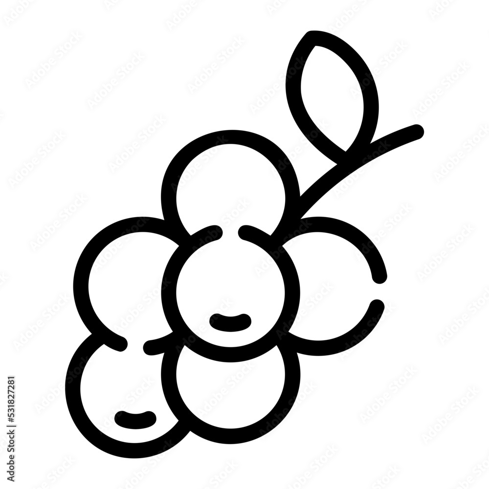 blackberry line icon blackberry line icon