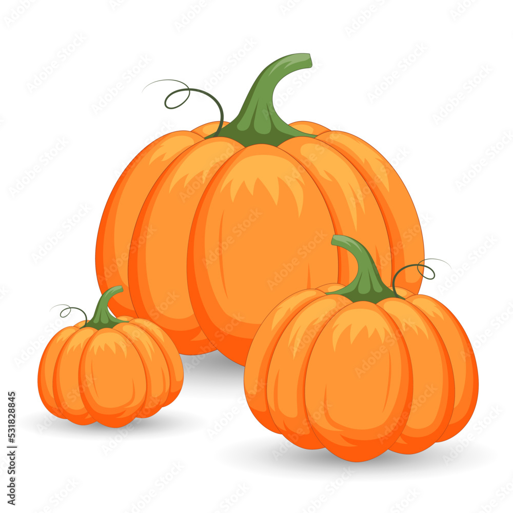 Vector orange pumpkins isolated on white background. Vector orange pumpkins isolated on white background.