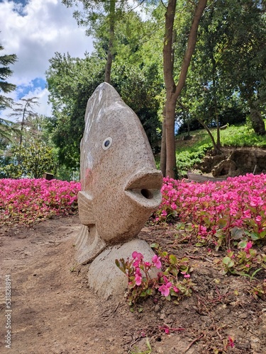 pink flower in garden