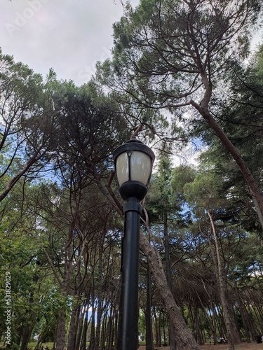 street lamp in the park