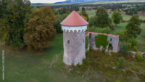 the tower of the ruined Kalc castle photo