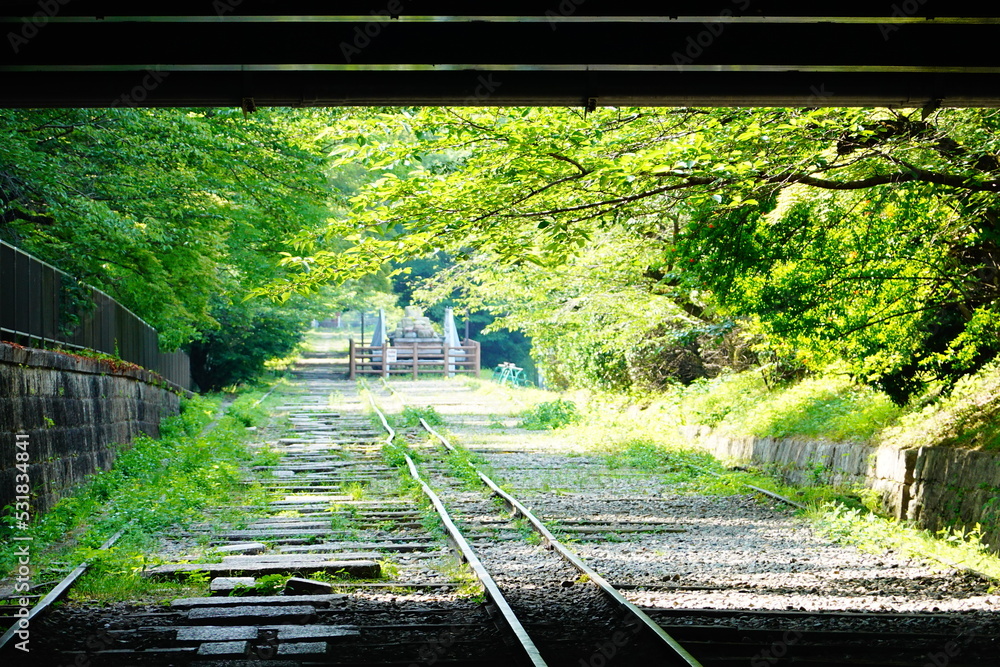 Fototapeta premium 京都 蹴上インクライン