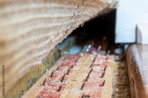 Obraz na płótnie Carpet tack strip exposed during a flooring home improvement project