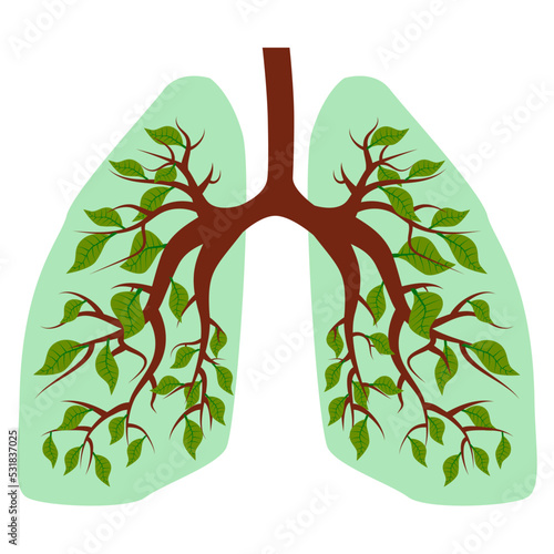 Green clean lungs, symbol of healthy lifestyle and clean air, ecology. Tree with green leaves like bronchi isolated on white. Icon or design element.