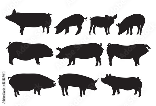 Swine pig, farm animal bundle stencil templates © Elenapro