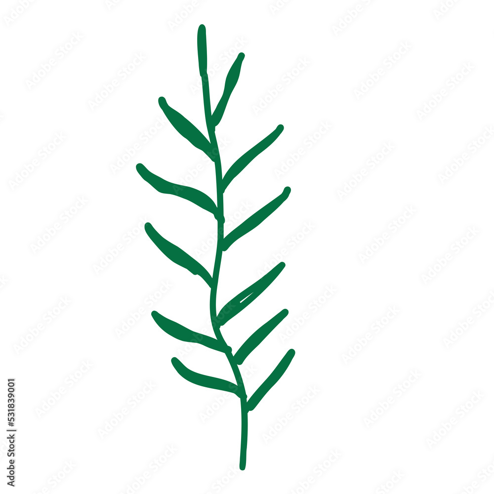 Hand Drawn Floral Leaf Shape Hand Drawn Floral Leaf Shape