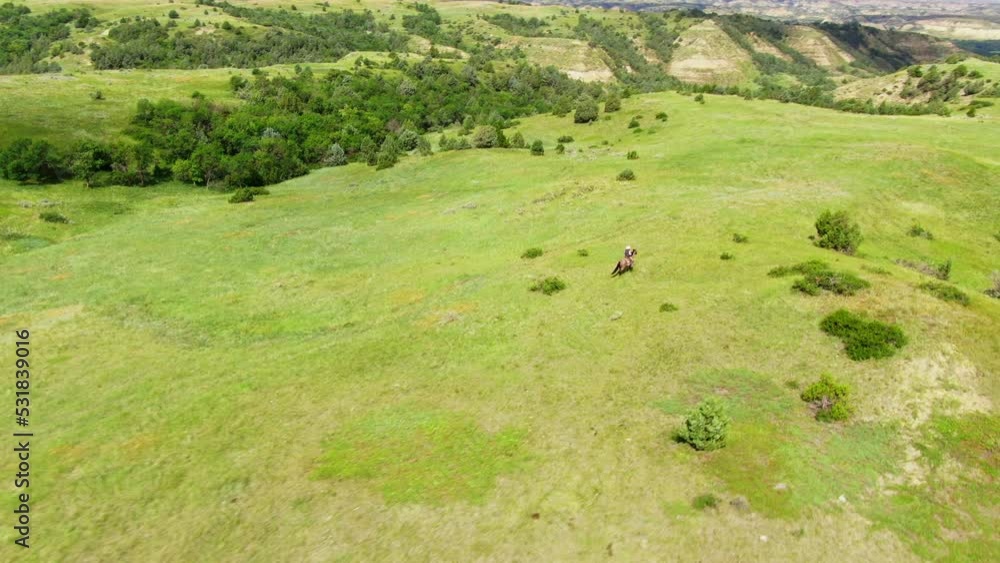 Cowboy riding on horseback in a large open field with rolling hills in the background, aerial flyover Cowboy riding on horseback in a large open field with rolling hills in the background, aerial flyover