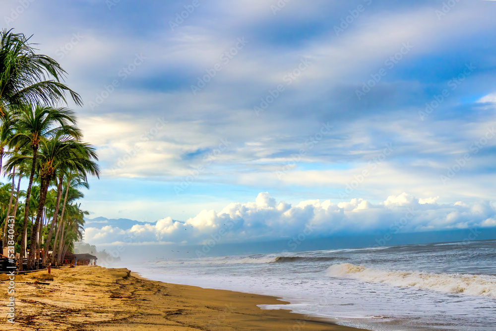 Background landscape with palm trees clouds sea and blue sky Background landscape with palm trees clouds sea and blue sky