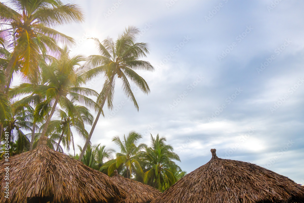 Background landscape with palm trees clouds sea and blue sky Background landscape with palm trees clouds sea and blue sky