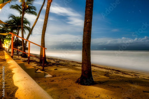 Night view of the sea with stais and palm trees photo