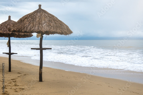 Background landscape with umbrella of palm leaves on the beach © juanjomenta