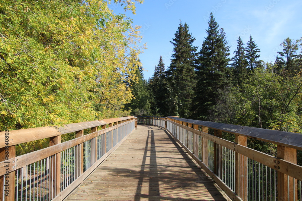 wooden bridge in the forest, Whitemud Park, Edmonton, Alberta