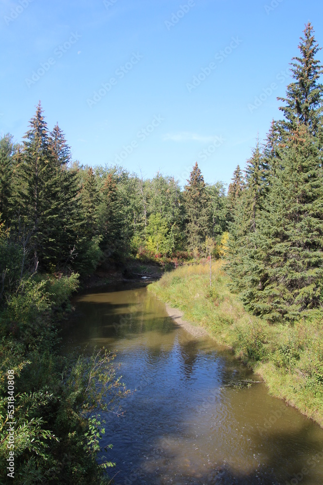 Flow Of The Creek, Whitemud Park, Edmonton, Alberta Flow Of The Creek, Whitemud Park, Edmonton, Alberta