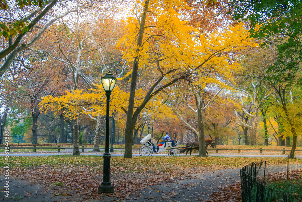 Horse drawn Carriage and Central Park in New York City at golden autumn, USA