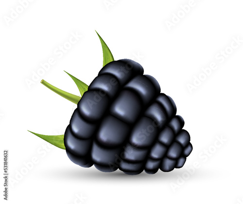 Realistic blackberry 3d. Fresh ripe black berry with green leafs. Sweets, jam, healthy eco snacl photo