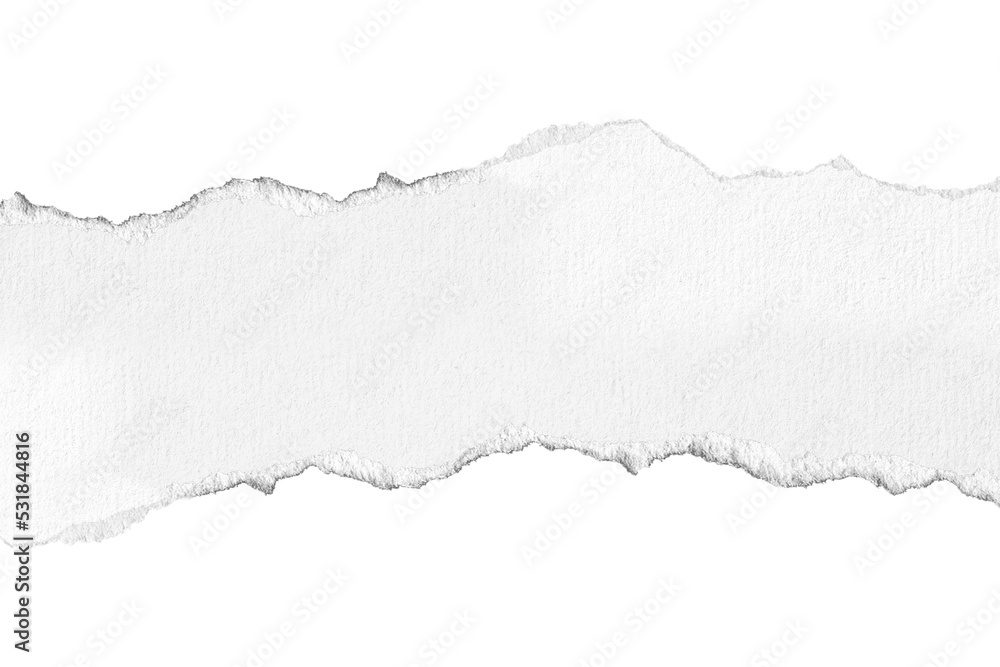 custom made wallpaper toronto digitalTorn paper