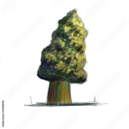 digital painting of a tree, with a transparent background PNG