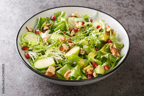 Dietary raw vegetable salad of brussels sprouts, avocado, cabbage, lettuce, pomegranate and nuts close-up in a plate on the table. horizontal