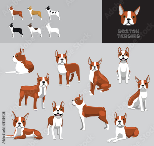 Dog Boston Terrier Brown Coat Cartoon Vector Illustration Color Variation Set photo