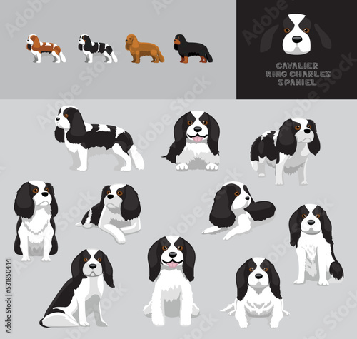 Dog Cavalier King Charles Spaniel Black Coat Cartoon Vector Illustration Color Variation Set