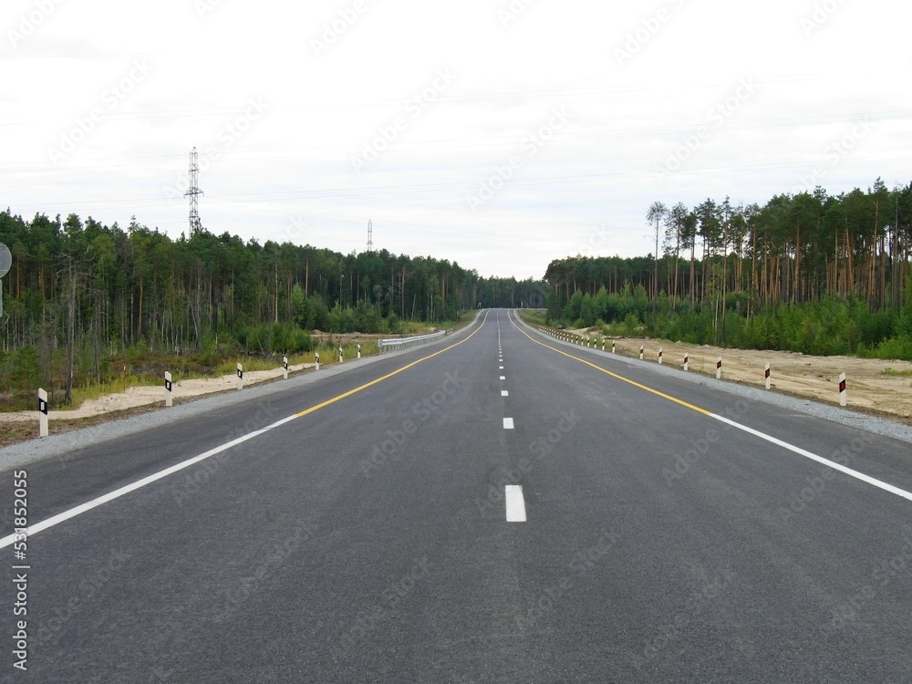 a new asphalt road passes through a pine forest a new asphalt road passes through a pine forest